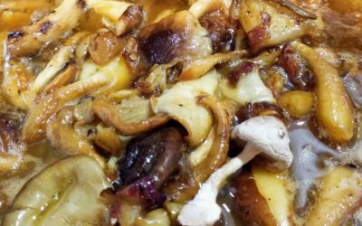 Peppery Sauce (with mushrooms if you want)